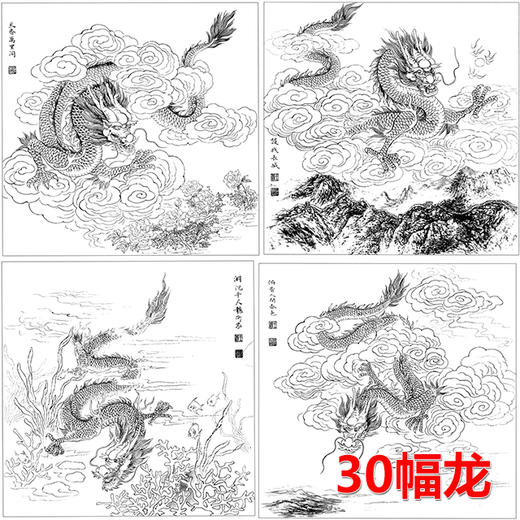 30幅龙白描合集  -无彩图-整套出售-DB43 商品图0