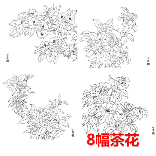 8幅茶花花卉白描合集-DB07 商品图0