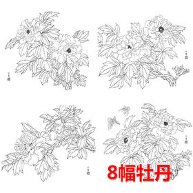 8幅牡丹花卉白描合集-DB06