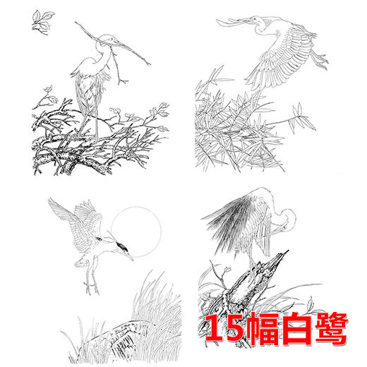 15幅白鹭白描合集--无彩图-整套出售-DB11 商品图0
