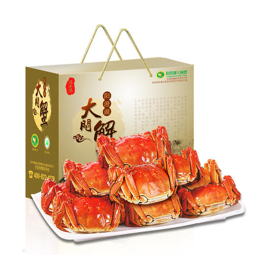 【正品阳澄湖大闸蟹礼品卡】平步青云B款2288型十只装 商品图4