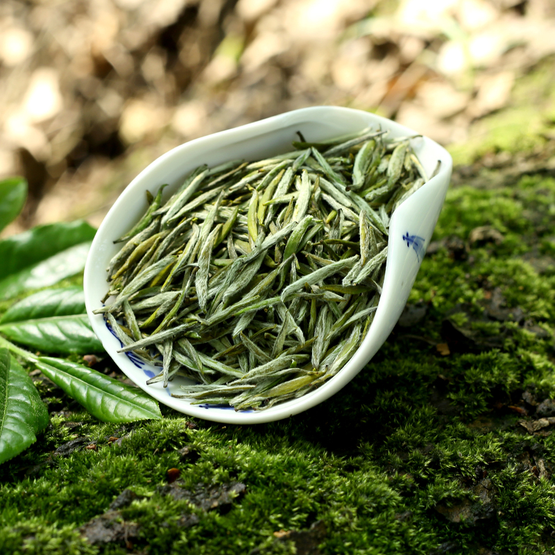 2022新茶巴南银针雨水250g绿茶茶叶春茶明前高山一芽一叶袋装