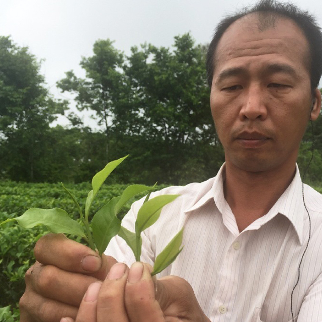 【台湾红茶】台湾南投·红玉50g·李奇峰监制(2013年海峡两岸斗茶红茶