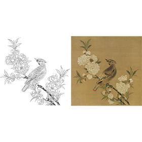宋画工笔花鸟白描底稿-宋 佚名 桃花山鸟图-斗方小品册页-X025