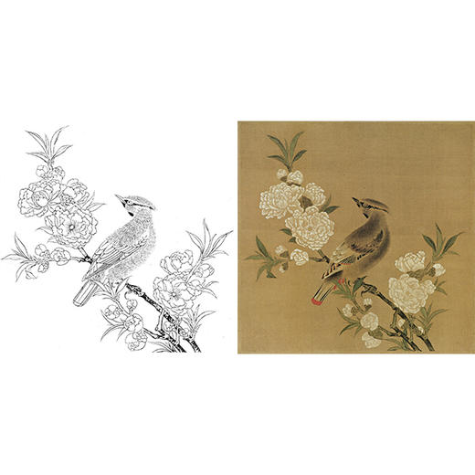 宋画工笔花鸟白描底稿-宋 佚名 桃花山鸟图-斗方小品册页-X025 商品图0