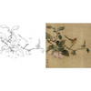 宋画花鸟白描底稿-宋 林椿 果熟来禽图-斗方小品册页-X007 商品缩略图0