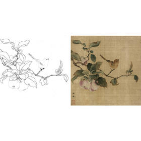 宋画花鸟白描底稿-宋 林椿 果熟来禽图-斗方小品册页-X007