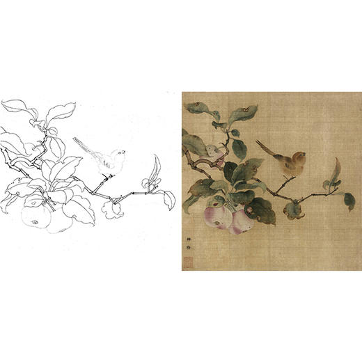 宋画花鸟白描底稿-宋 林椿 果熟来禽图-斗方小品册页-X007 商品图0