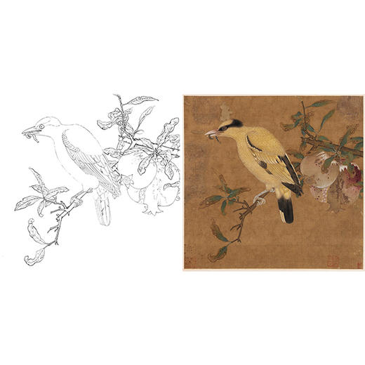 宋画工笔花鸟白描底稿-宋 佚名 榴枝黄鸟图-斗方小品册页-X028 商品图0