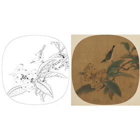 宋画小品工笔花鸟白描底稿-宋-吴炳-《枇杷绣眼图》-多种白描尺寸可选-X019