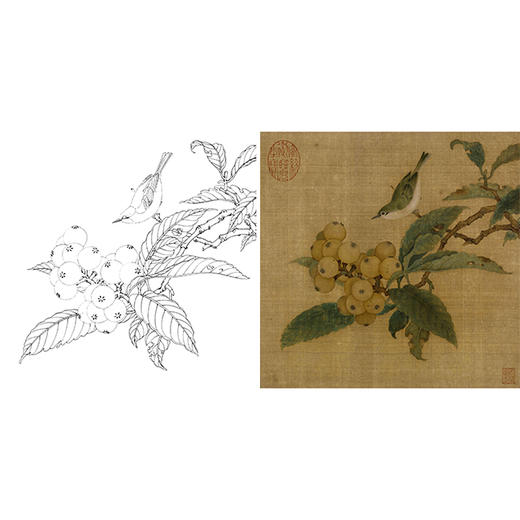 宋画工笔花鸟白描底稿-宋 林椿 枇杷山鸟图-斗方小品册页-X008 商品图0