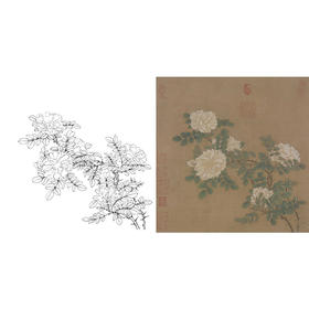 宋画工笔花鸟白描底稿-宋 马远 白蔷薇图-斗方小品册页-X011