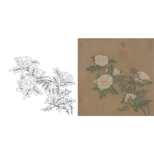 宋画工笔花鸟白描底稿-宋 马远 白蔷薇图-斗方小品册页-X011 商品图0