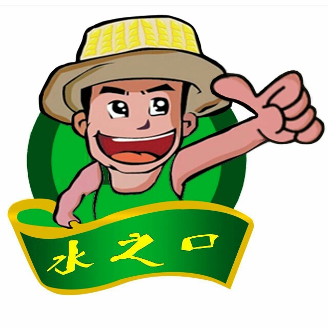 陕西水之口农业科技 陕西特产店