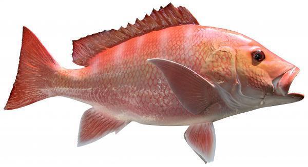 嵥ɫ ģ Ǩ  Ϳͻ ͼƷ