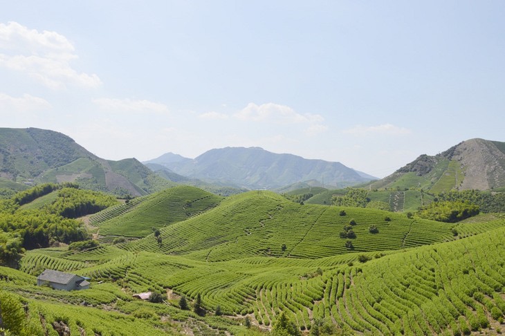 【定制】探索霞幕山古道:体验传说中的"山水胜绝之所(1天活动)