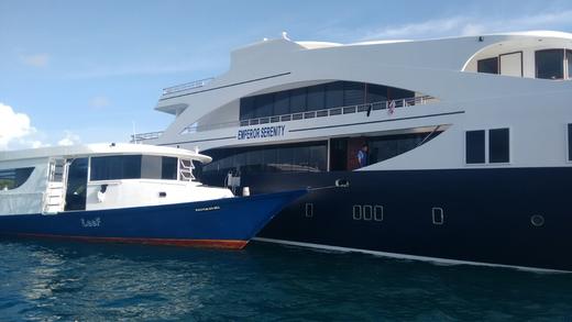 【船宿】马尔代夫船宿 - Serenity 8天7晚 商品图2