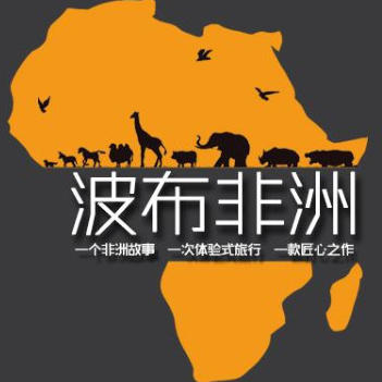 波布非洲200515