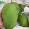 【经典芒果】新鲜越南大青芒果   肉嫩多汁  个大核薄 甜蜜美味 商品缩略图5