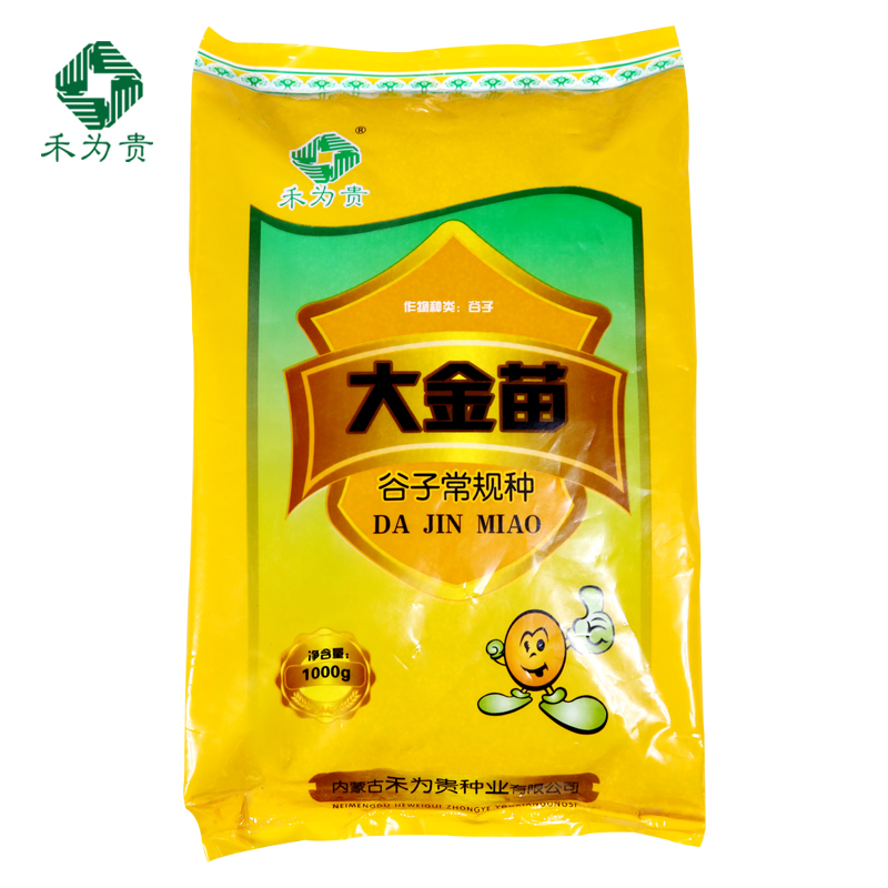 禾为贵 谷子种子 大金苗 谷子常规种 1000g/袋