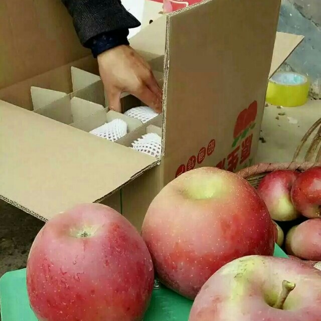 昭通苹果