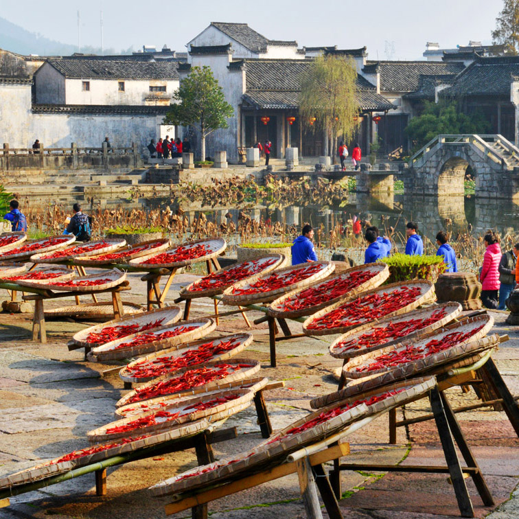 【呈坎晒秋】色迷呈坎,篁岭晒秋,屯溪老街,徽州古道