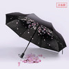 REMAX/睿量RT-U3晴雨两用伞 便携雨伞一键开收伸缩折叠防紫外线伞 商品缩略图2