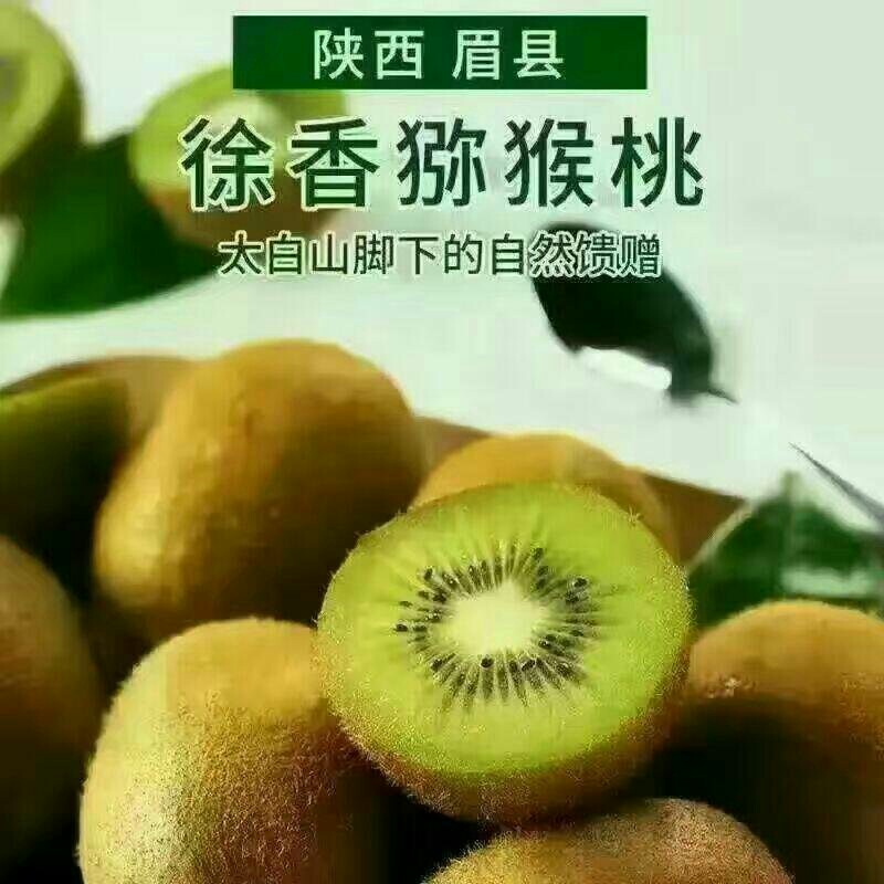 【礼盒装】眉县徐香猕猴桃-无膨大剂