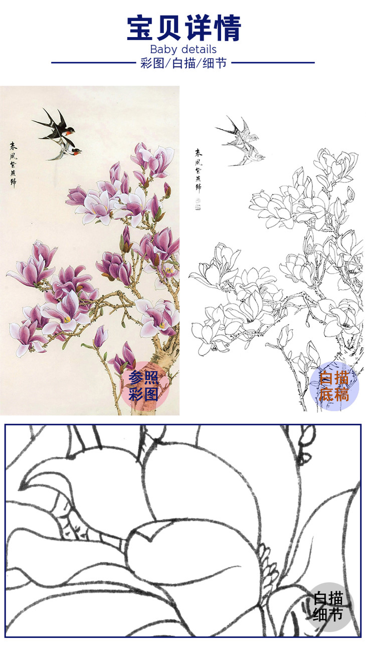 白描底稿工笔花鸟玉兰xv03