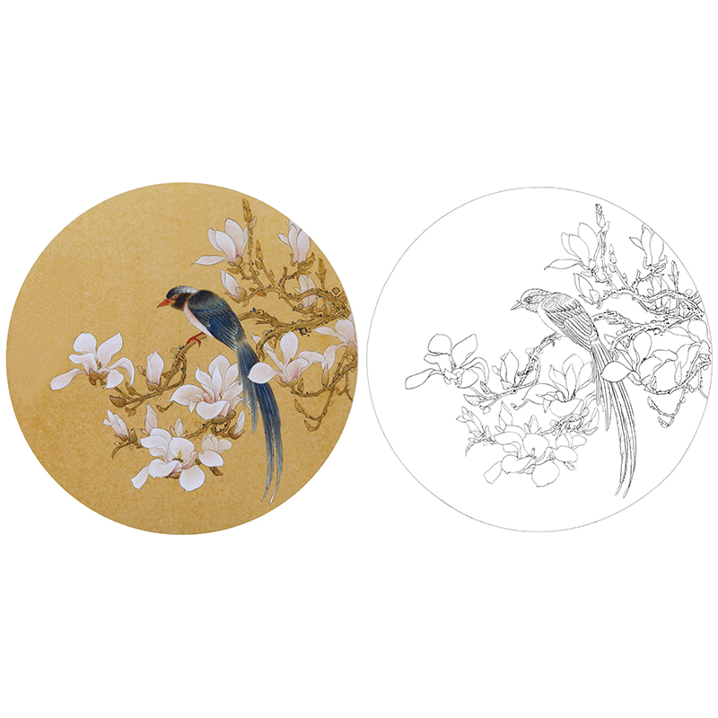 工笔花鸟白描底稿-玉兰花小品-XV09