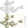 横幅工笔花鸟白描底稿-任重-XV08 商品缩略图0