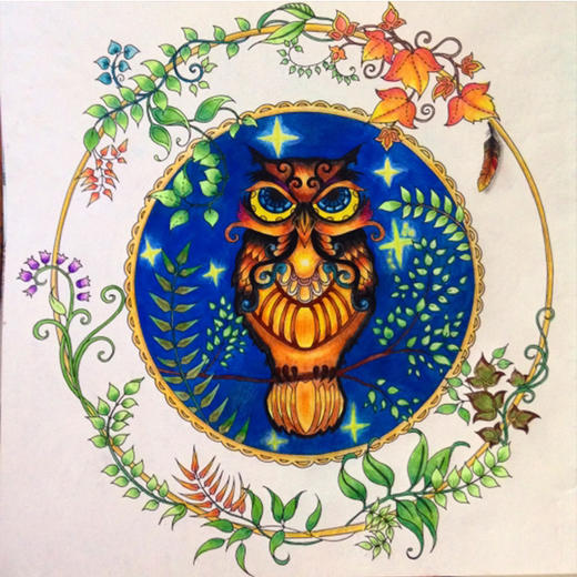 【正版现货】魔法森林：秘密花园2 商品图5