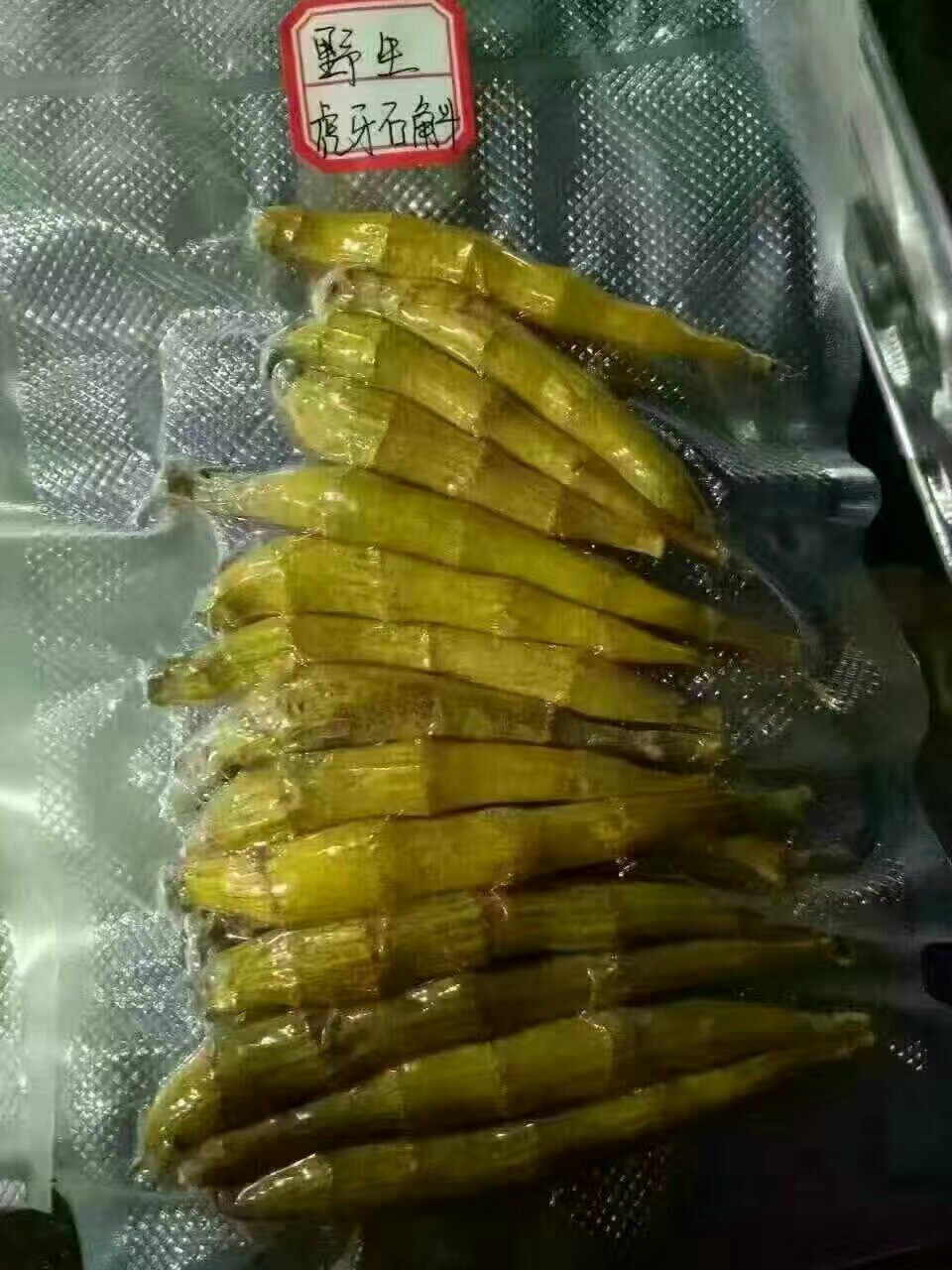 野生 虎牙石斛
