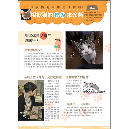 猫语大辞典 商品图3
