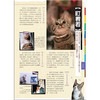 猫语大辞典 商品缩略图5