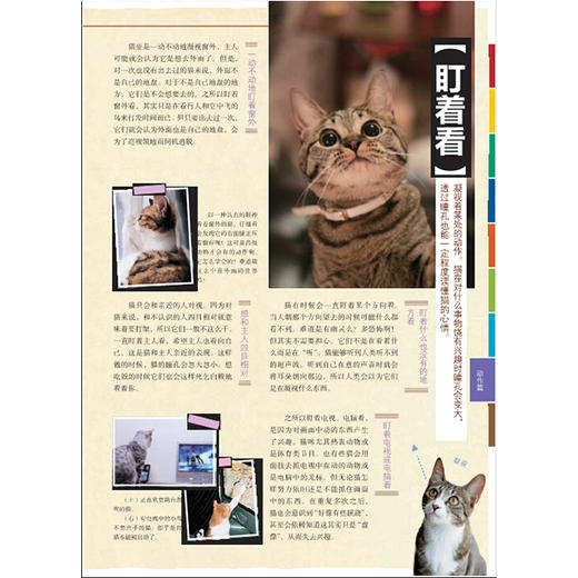 猫语大辞典 商品图5