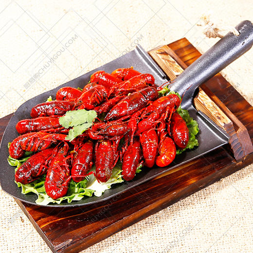 创意餐具002&003 商品图0