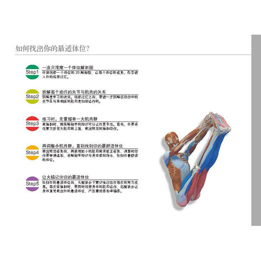 瑜伽3D解剖书Ⅱ——动作篇 商品图4