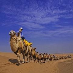 阿拉丁丝路良品200508