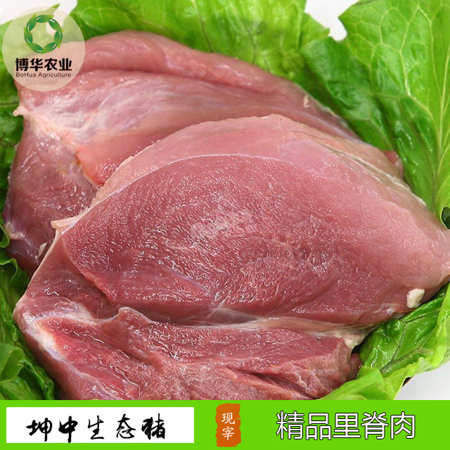 猪里脊肉1斤 博华三零富硒猪肉
