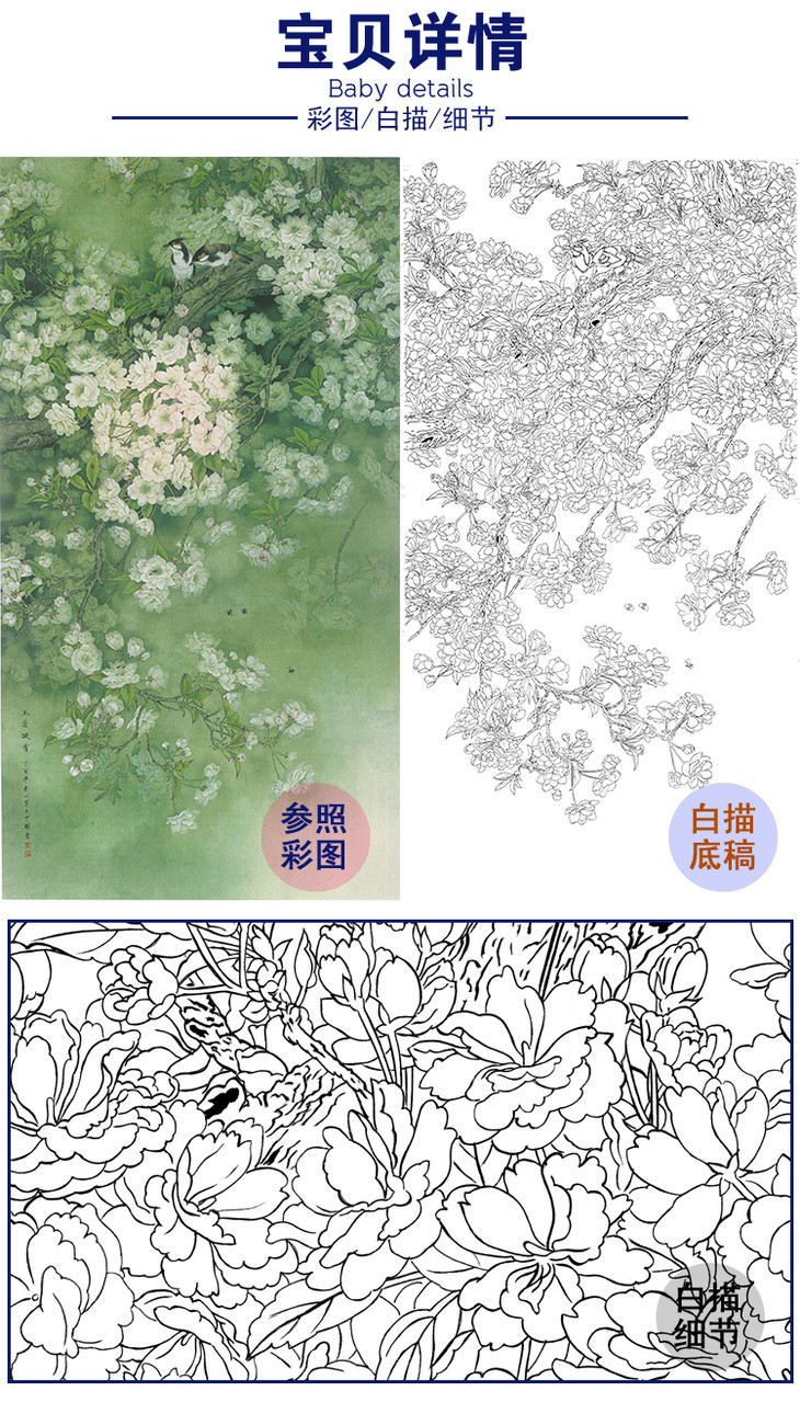 白描底稿-周中耀工笔花鸟-《玉质凝香》-樱花-多种白描尺寸可选-lv08