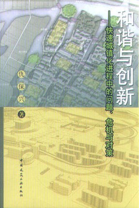 和谐与创新——快速城镇化进程中的问题、危机与对策 商品图0