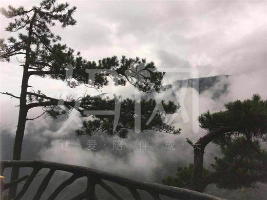 【妈网旅游】11月20日 千灯大唐花苑发车 浙江大明山一日游 — 陪你一起去看红枫 商品图1