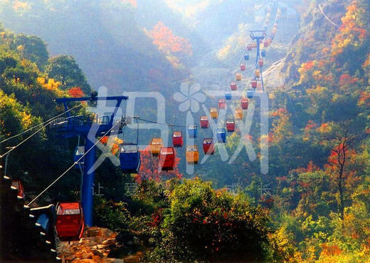 【妈网旅游】11月20日 千灯大唐花苑发车 浙江大明山一日游 — 陪你一起去看红枫 商品图0