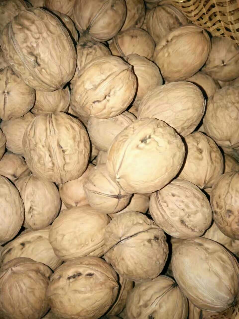 陕西黄龙核桃香菱核桃五斤装包邮