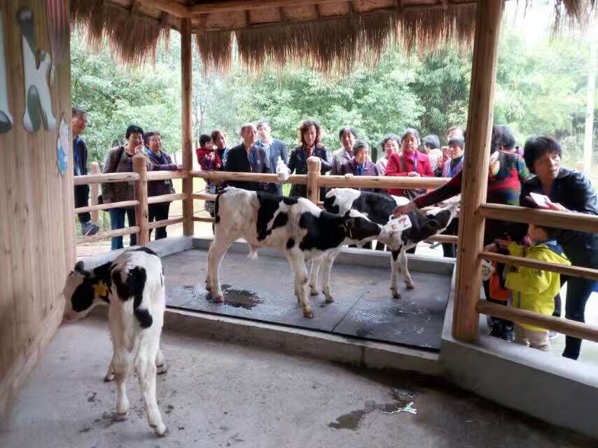 美丽健2个免费vip牧场游名额