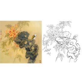周中耀工笔花鸟白描底稿-斗方小品册页-DV06