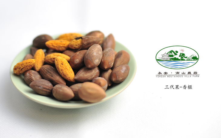 永安山高山香榧礼盒装/100g小包装