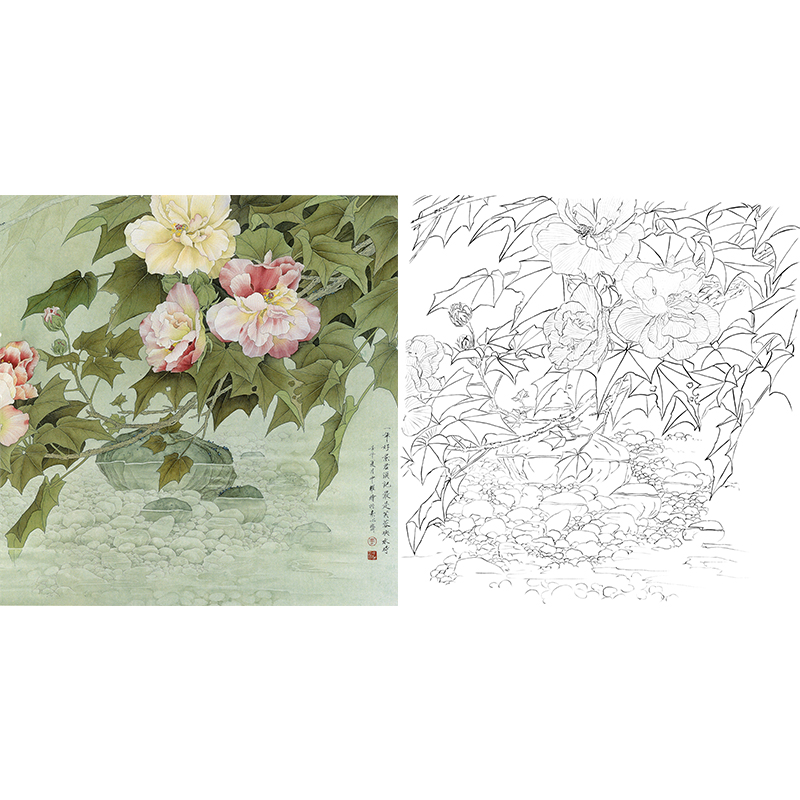 白描底稿-周中耀工笔花鸟-芙蓉-dv01