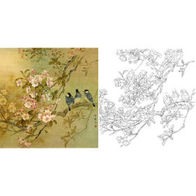 工笔花鸟白描底稿-周中耀-斗方小品册页-DV10